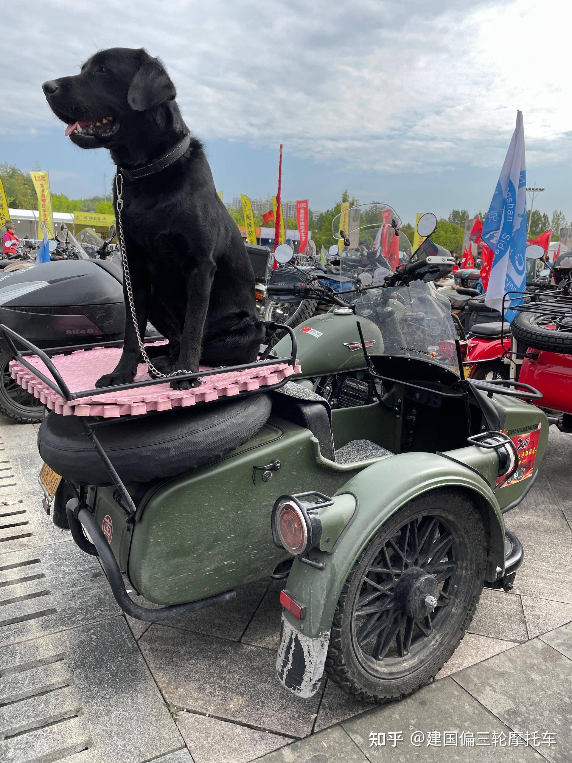 八十年代的边三轮你们见过没