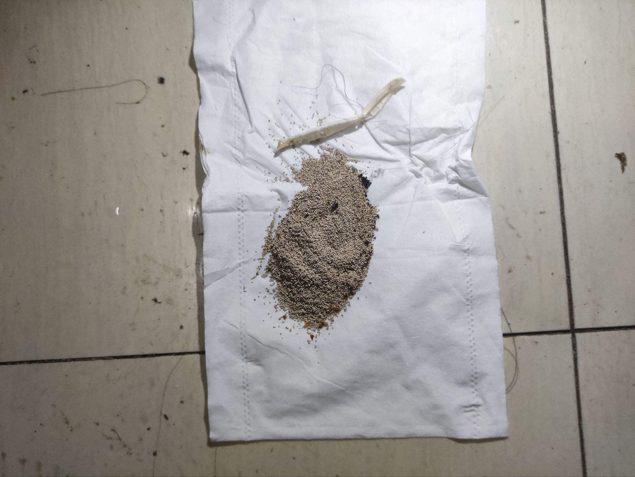 这是某种虫卵吗? - 知乎