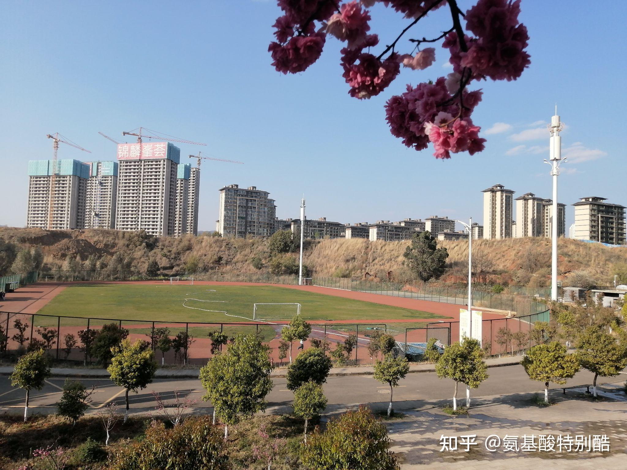 有誰雲南旅遊職業學院龍頭街校區的環境和住宿條件怎麼樣? - 知乎