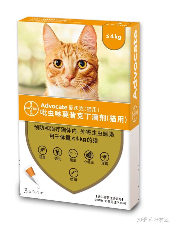给猫咪驱虫有哪些好方法吗- 知乎