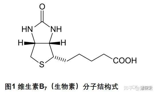 生物素 (biotin) 又称维生素h,维生素b7,辅酶r,属于水溶性 b 族维生素