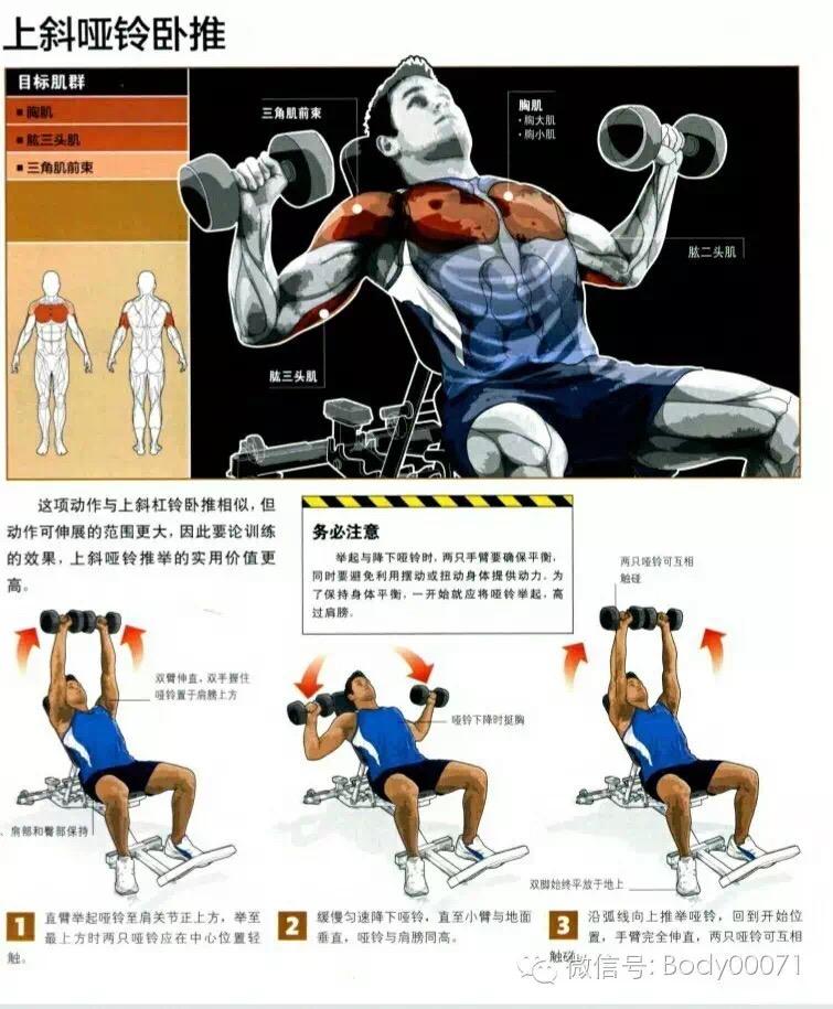 如何锻炼出胸肌