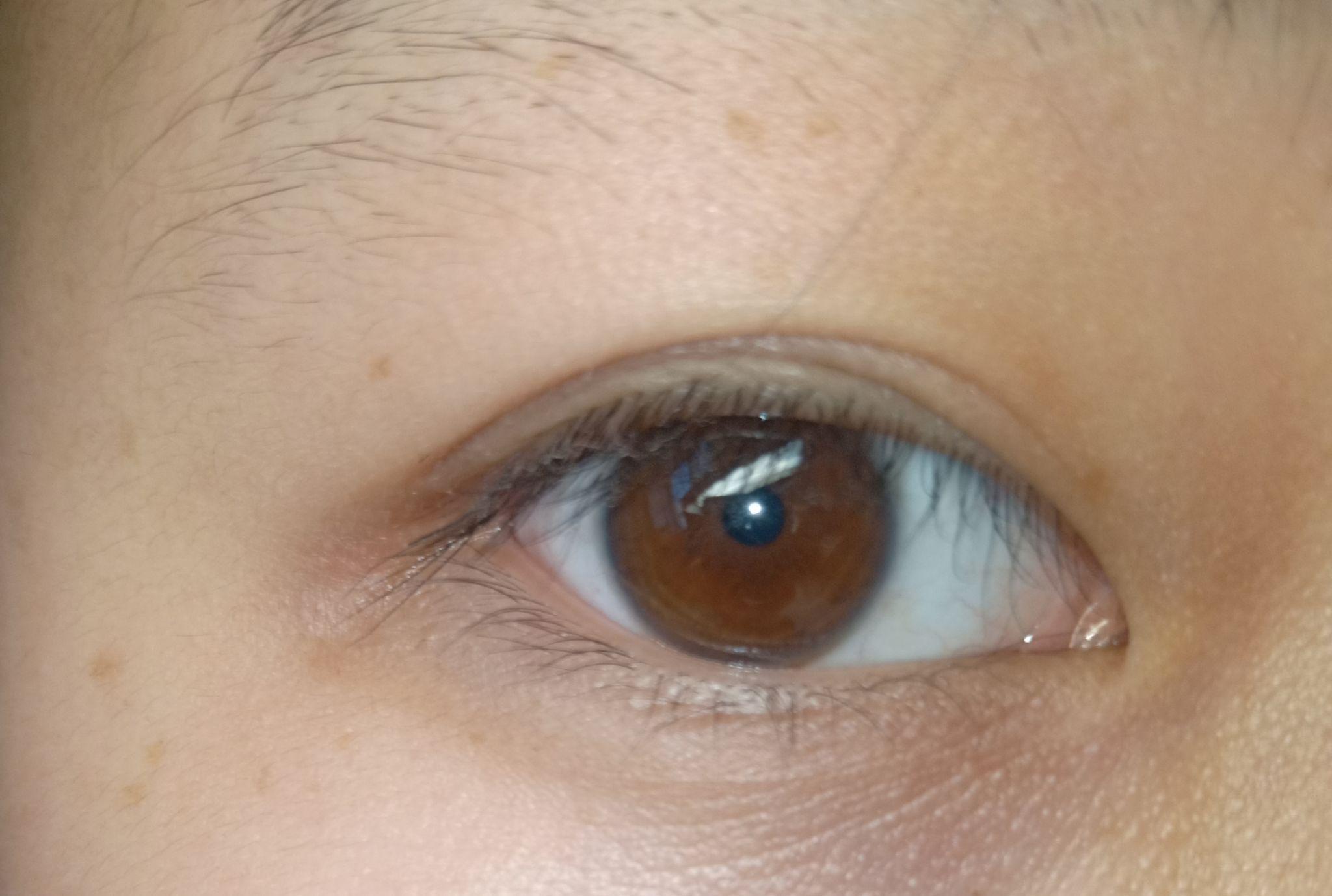 为什么中国人的眼睛是乍看像黑色的棕色,而西方人眼睛的颜色很多?