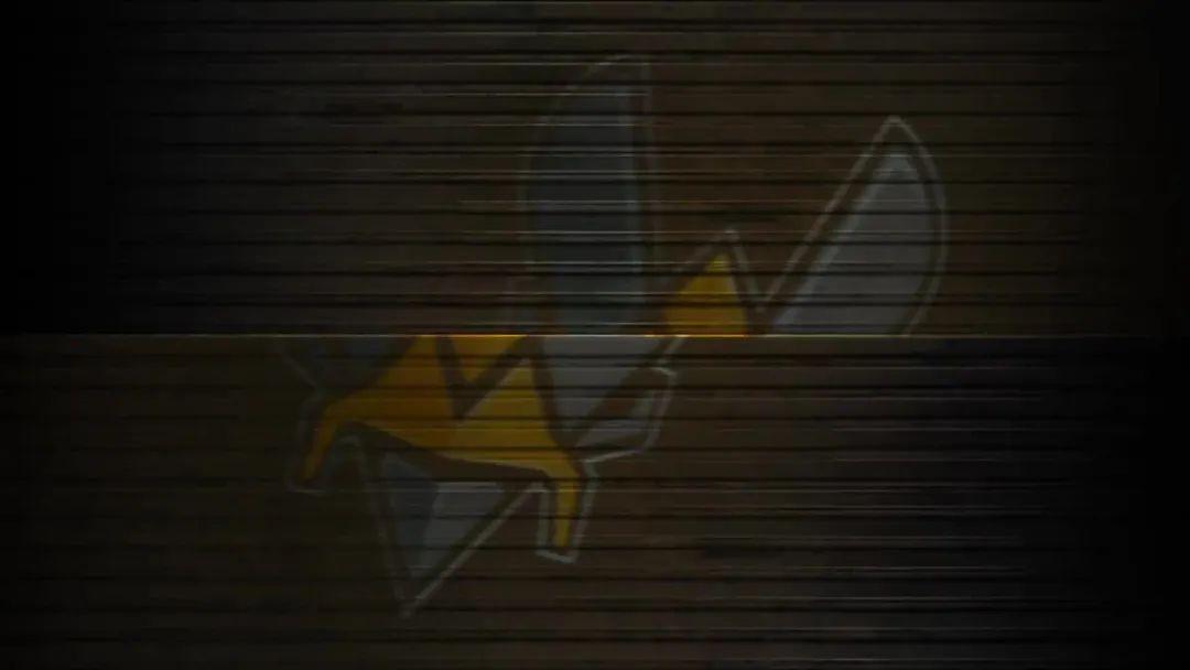 Csgo vitality 