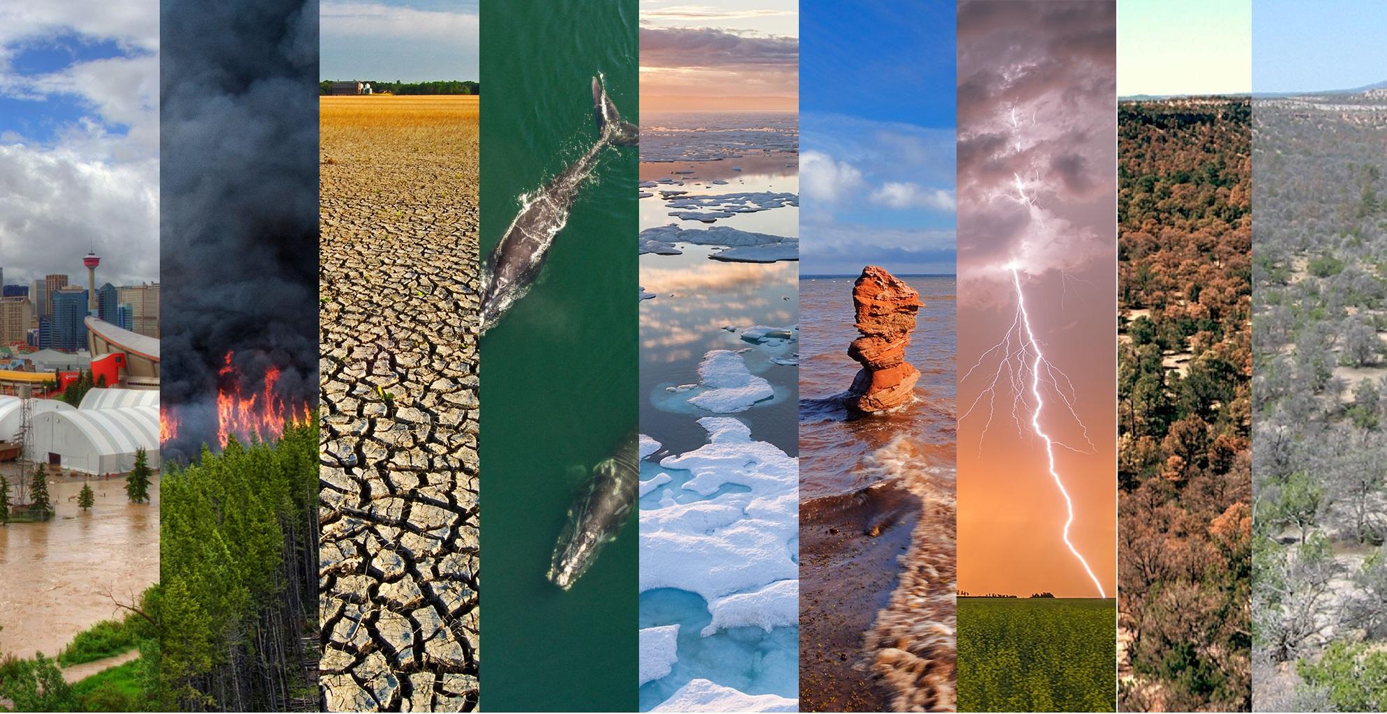 庄闲和游戏-重要提醒！气候变化正改写传染病的地理边界