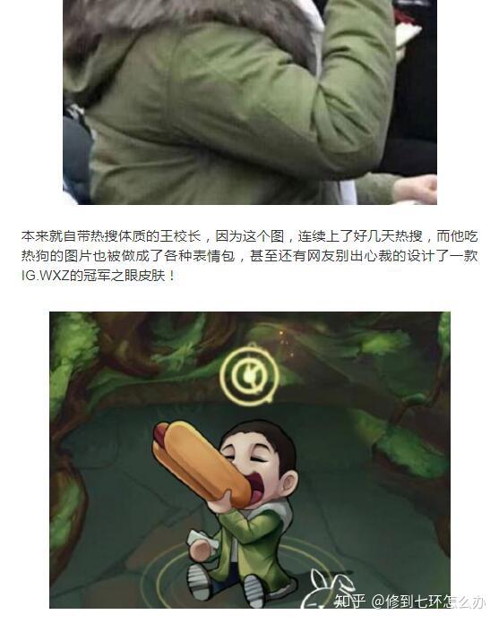 如何评价 ig 冠军皮肤中的「王思聪吃热狗」守卫眼石皮肤? - 知乎