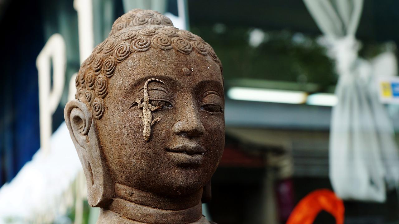 精装现房即买即住