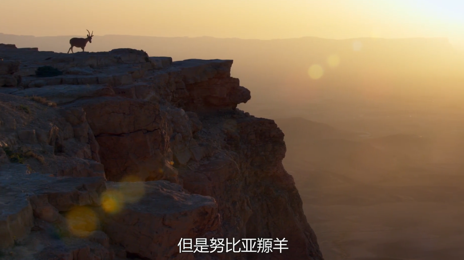 如何评价地球脉动\/行星地球第二季(Planet Ear