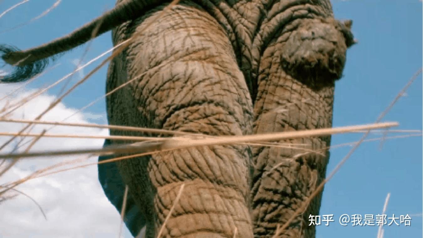 亲子时光纪录片推荐小小世界第一季