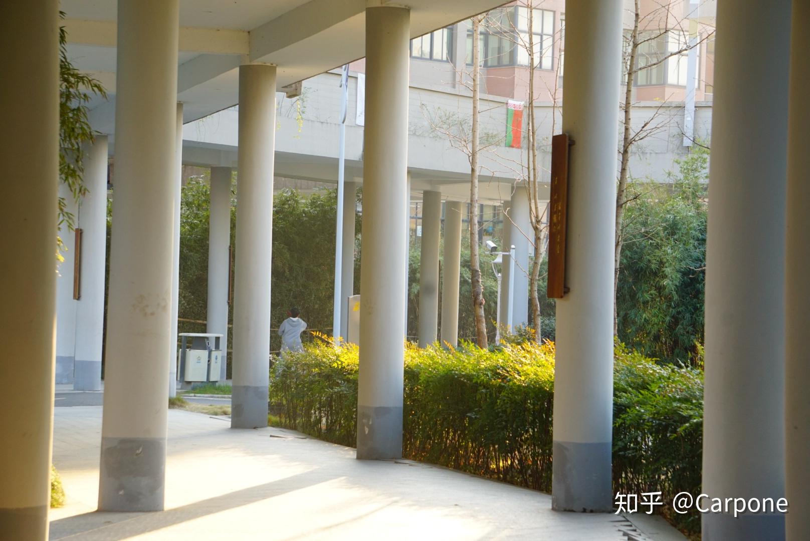 在鄞州外国语中学就读是什么体验