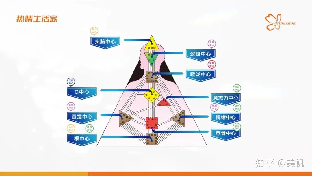 如何看懂自己的人类图?