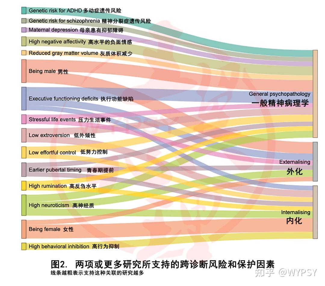 跨诊断的心理治疗Transdiagnostic 基于病因的循证干预 - 知乎