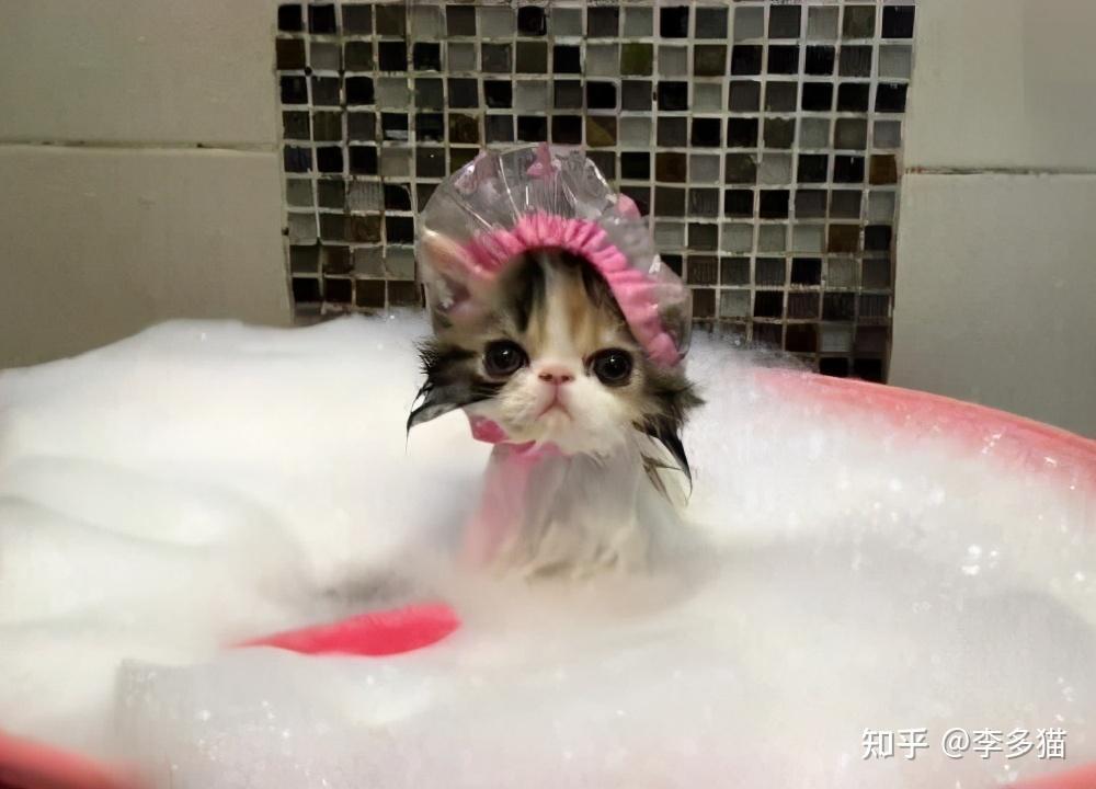 v2-7c19e724d05b0fb31e1904ef3dbe8ec0_r.jpg