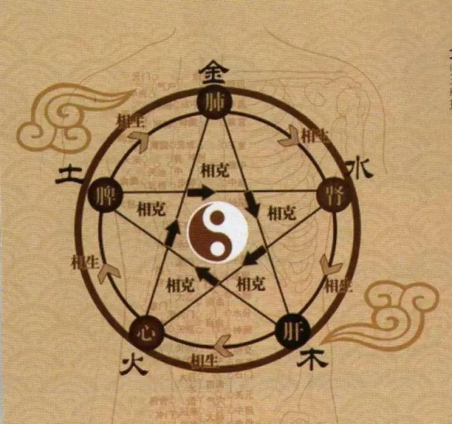 五脏常见虚劳症(阴、阳、气、血)的调理法 - 知乎