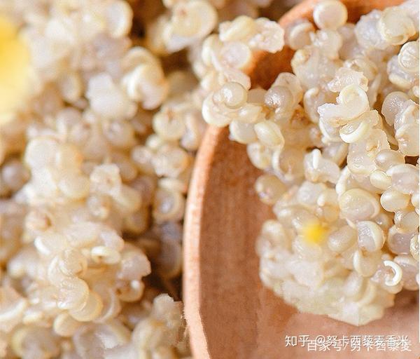 藜麦煮出来的小圈圈形状是什么东西