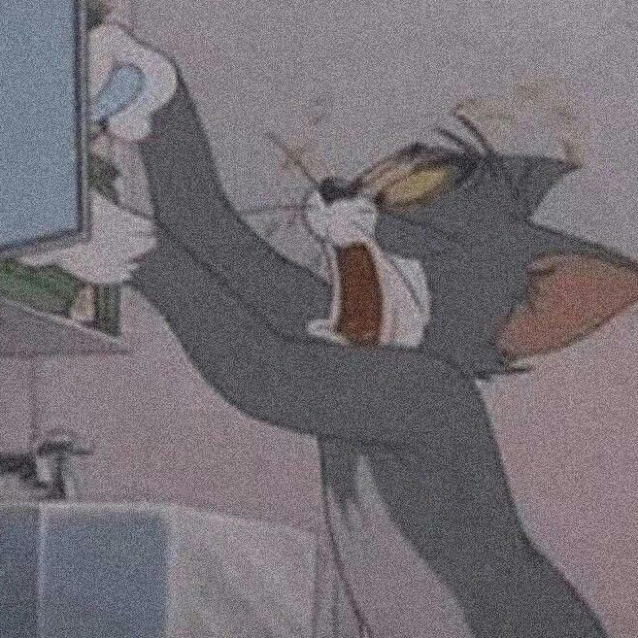 鲨鱼辣椒吃辣嘛