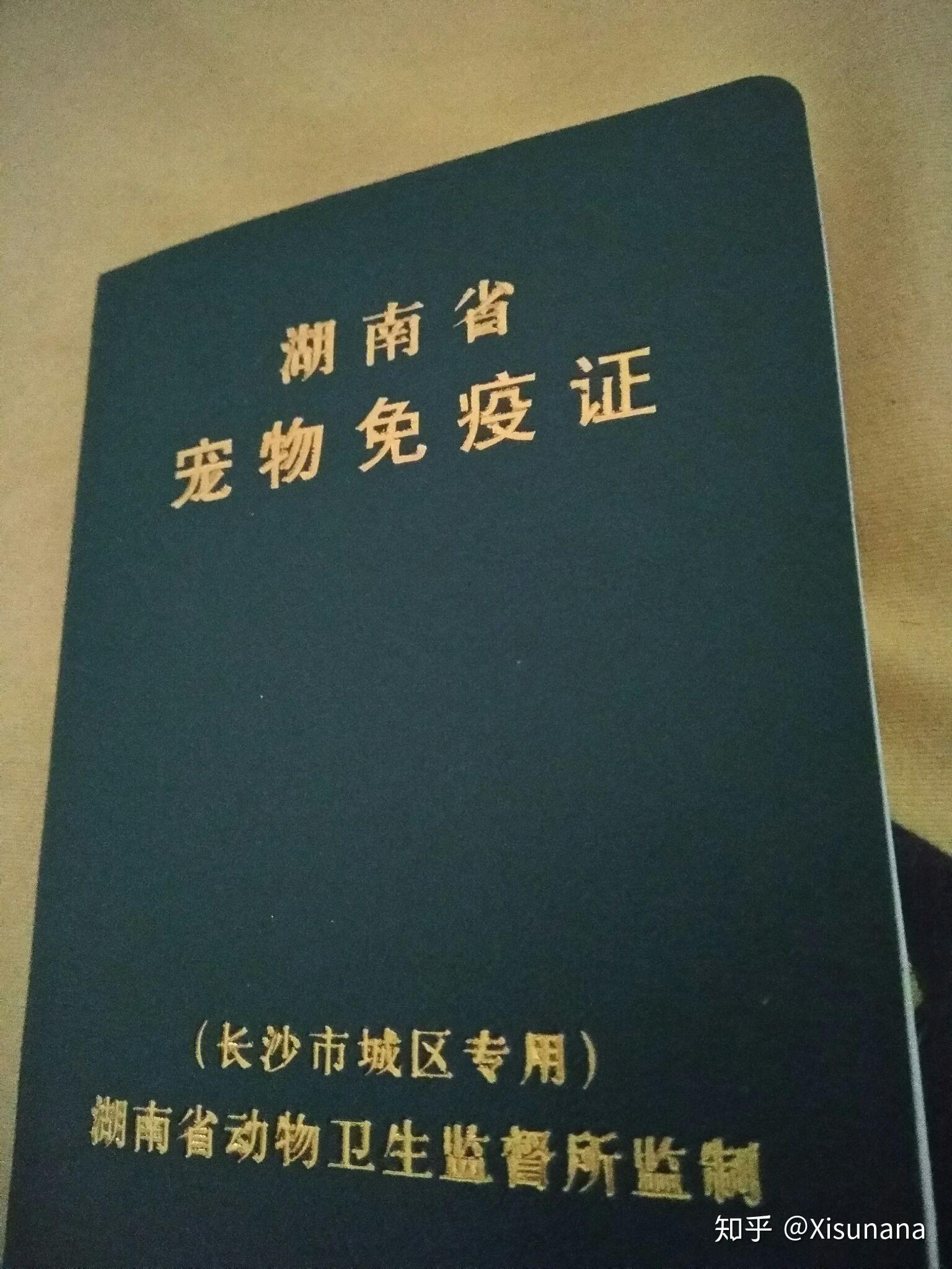 在长沙如何办理狗狗托运