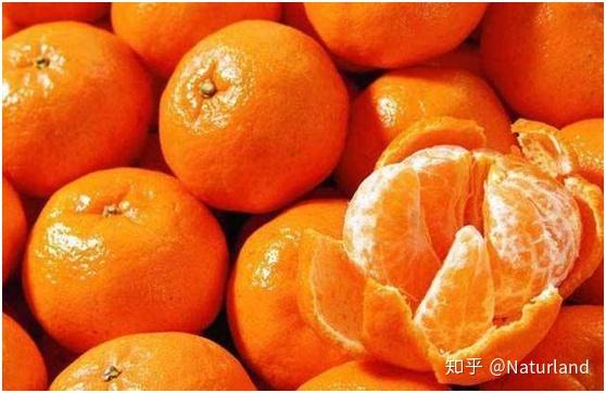 苹果皮可以养花吗 v2-7c48d3e2179f26d52bbb0a0179f89750_r.jpg