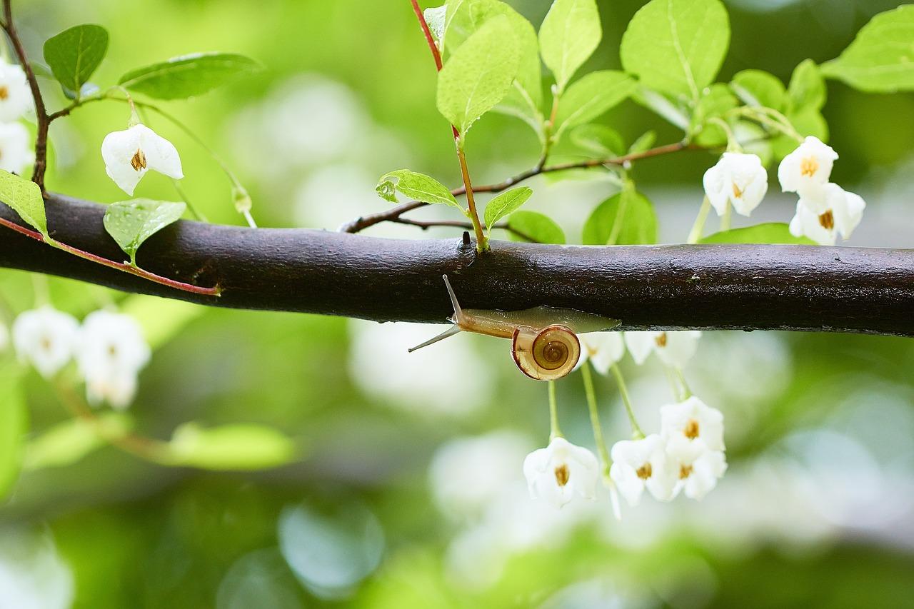 3. 阳光直射避免