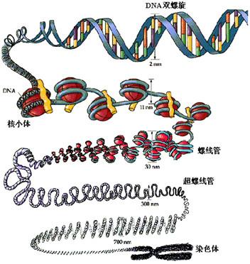 知乎专栏