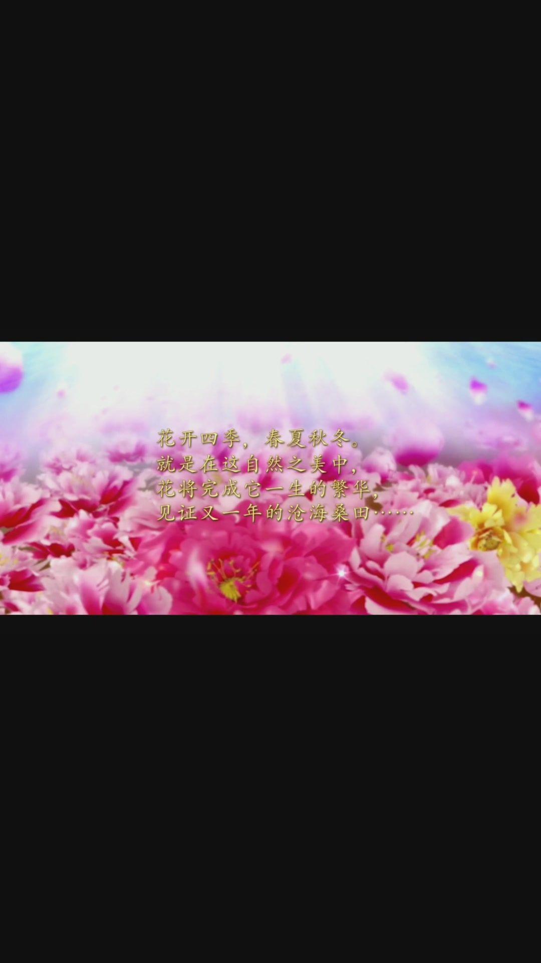 桃花笑歌曲(桃花笑歌曲下载免费)