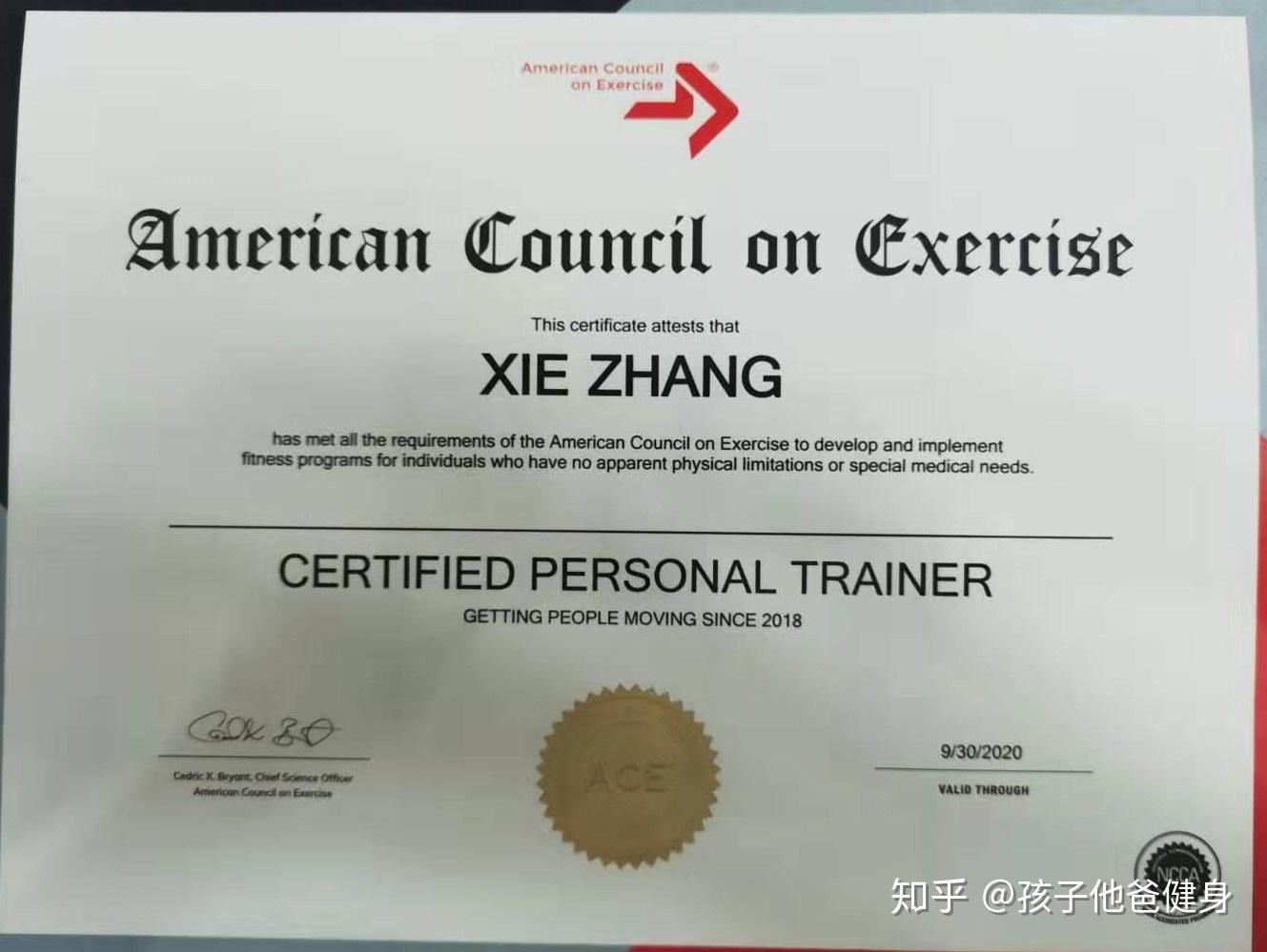 上健身路,17年从业健身教练,健身目前水平一般般,有ace,nsca国际认证