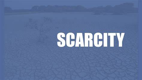 经济学小课堂之稀缺性