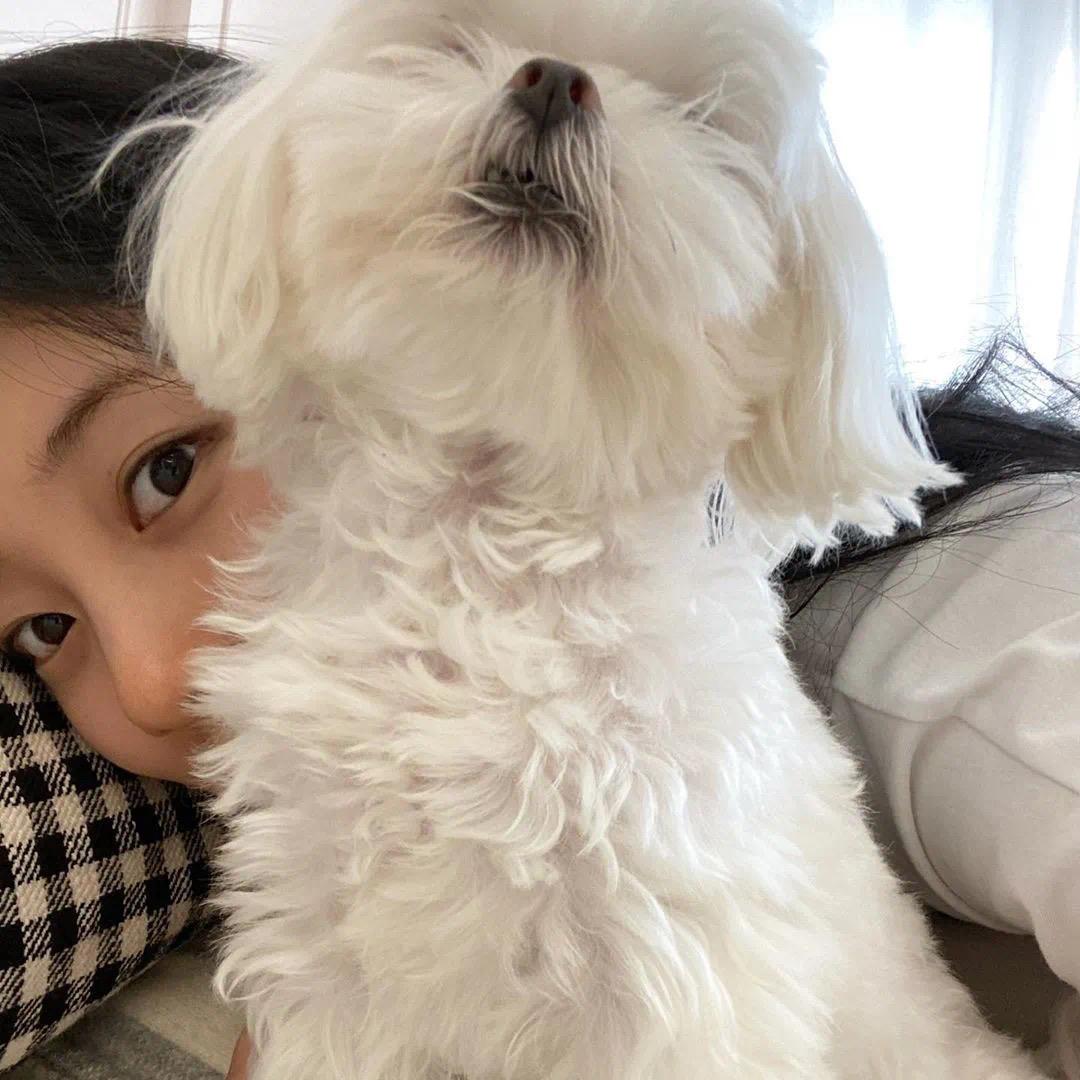 有没有女孩子抱着狗狗的头像,越多越好?