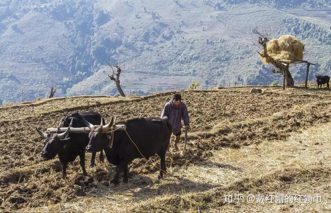 记忆深处最打动人的农耕用具,你认识几个? - 知乎