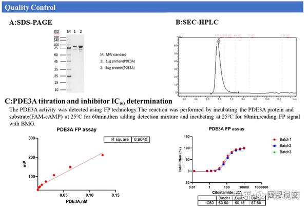 PDE(磷酸二酯酶) Panel_IBC - 知乎