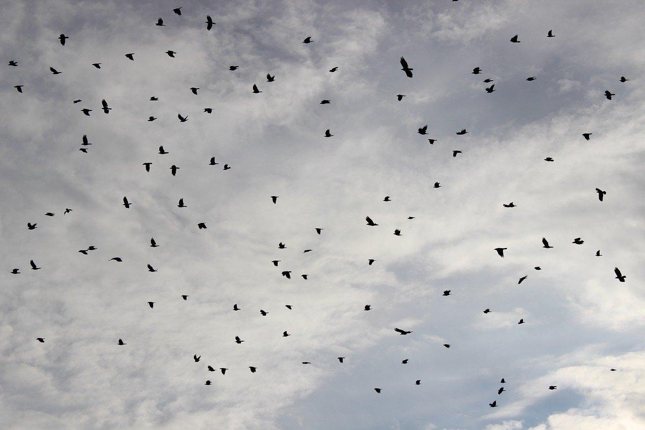 板材如何防变形