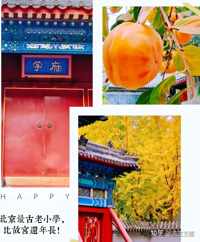 府学胡同小学东城百年老校安交学区一流一类牛小招生划片2023年16个班