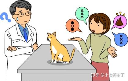 猫咪大便u0026小便的检查指南（重要） - 知乎