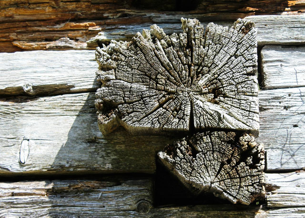 2. 罗松木家具优势