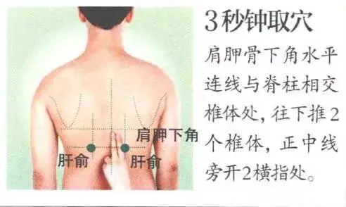 v2-7cbd0aac8b262e1635d5d83f5bab0e3d_1440w.jpg?source=172ae18b