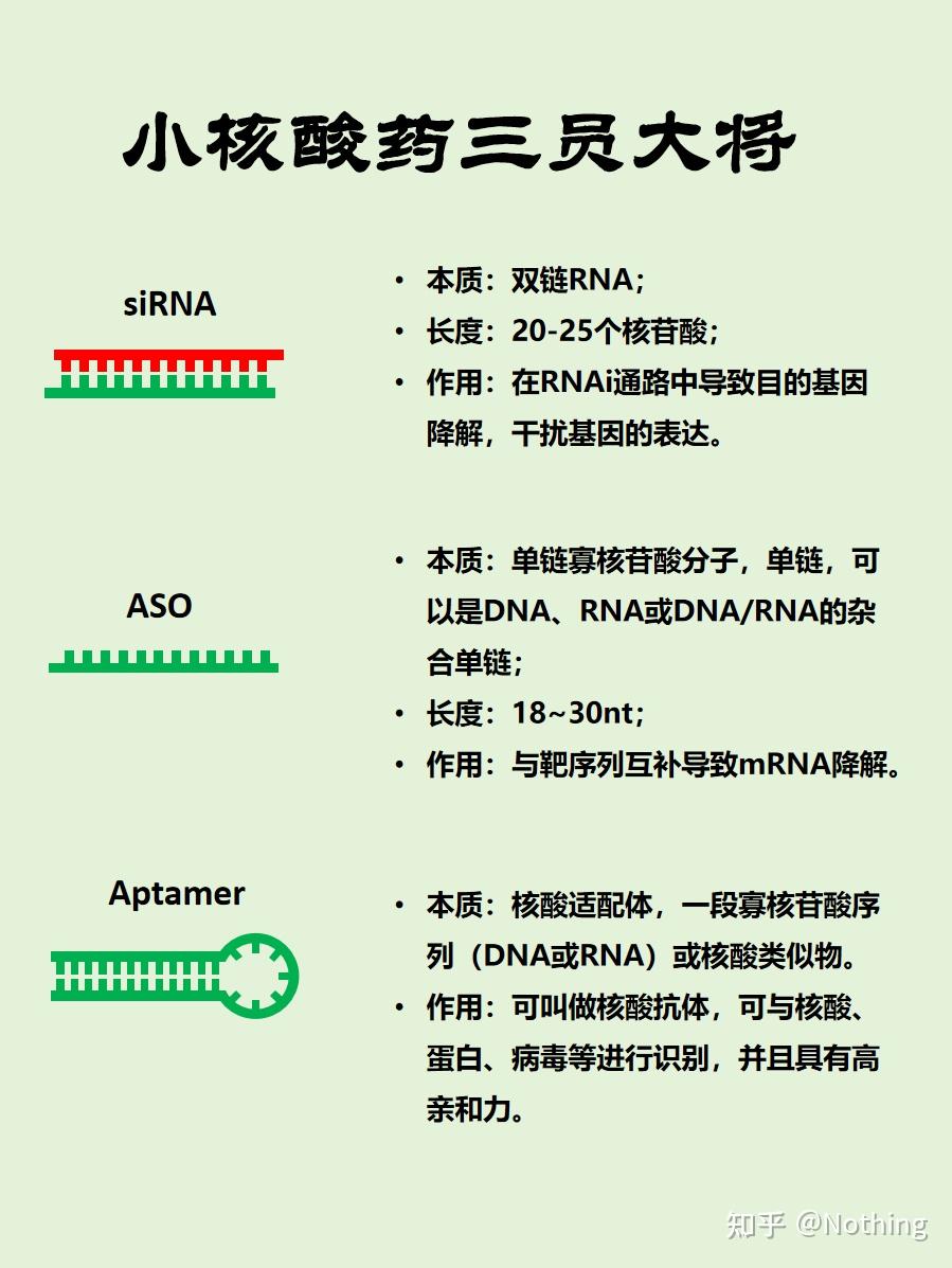 图解转录调控过程---基因过表达、基因沉默、RNA干扰 - 知乎