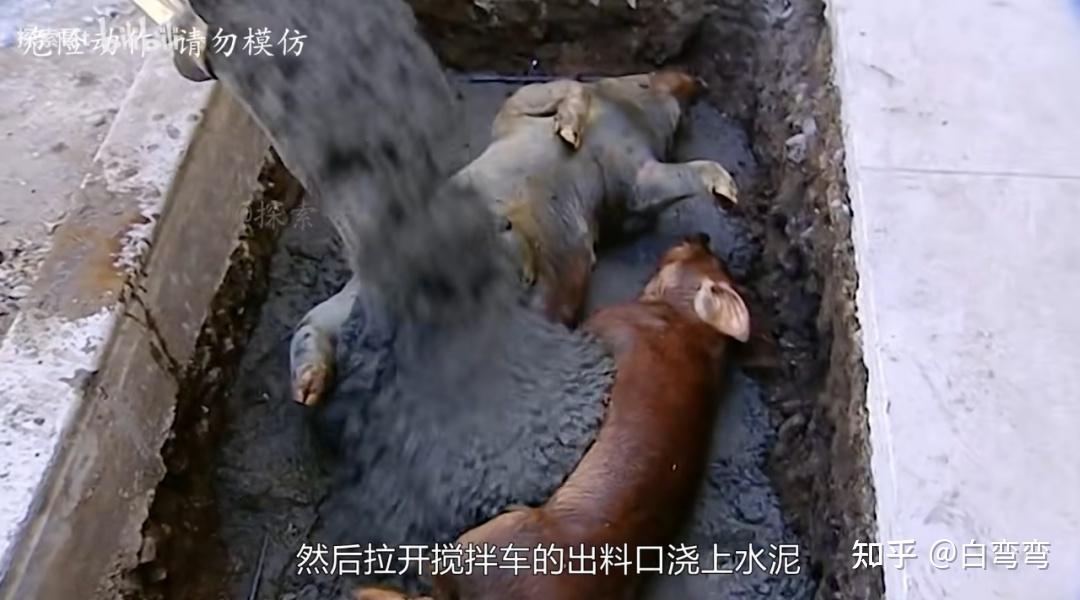 安徽阜阳的"水泥藏尸案",细思极恐啊