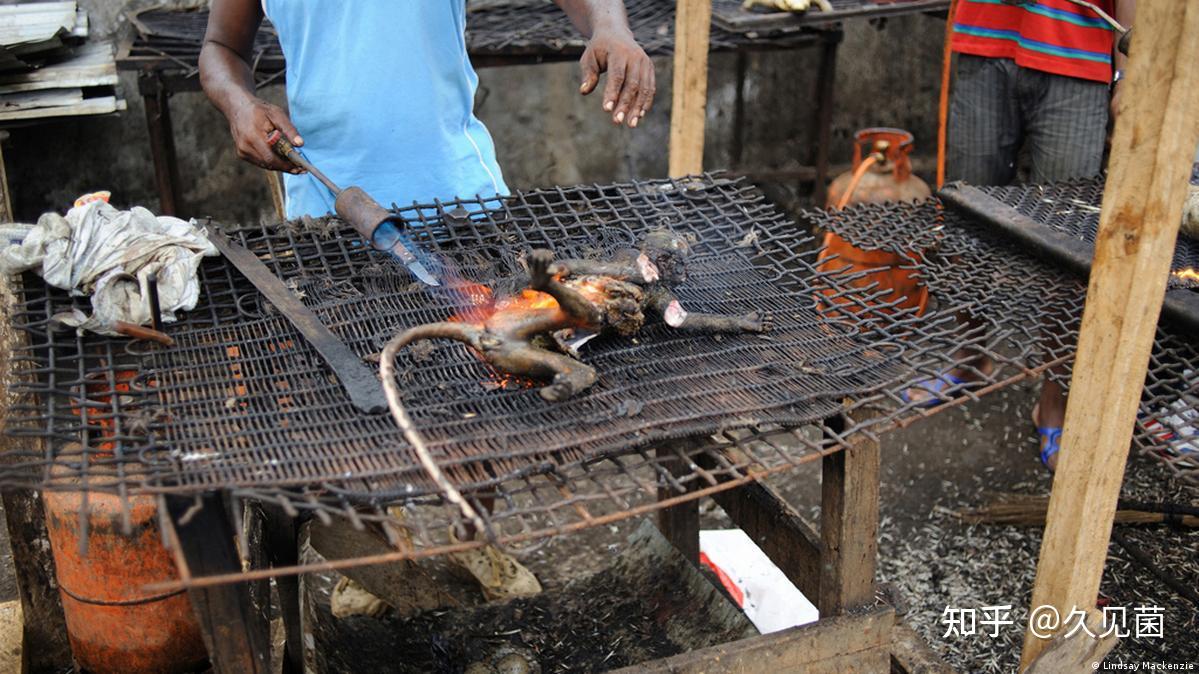 非洲人吃猴子好残忍图片