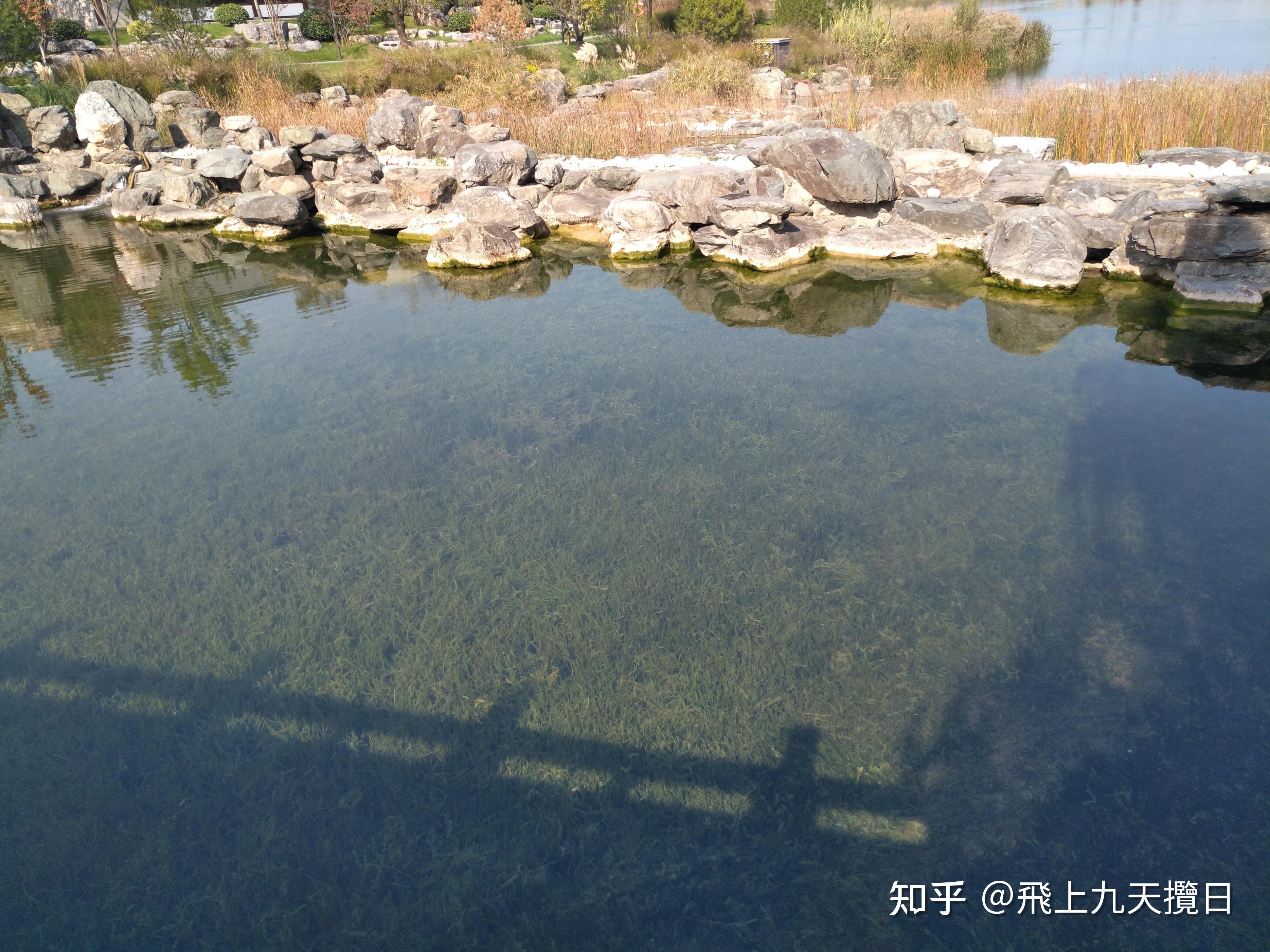 渼陂湖记 - 知乎