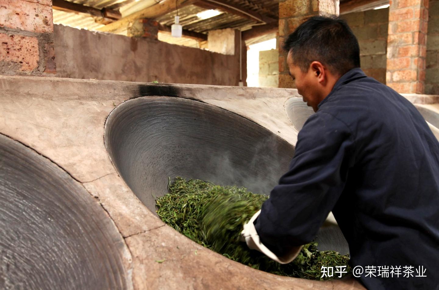 什么是揉捻？影响揉捻的因素有哪些？揉捻时有哪些具体要求？ - 知乎