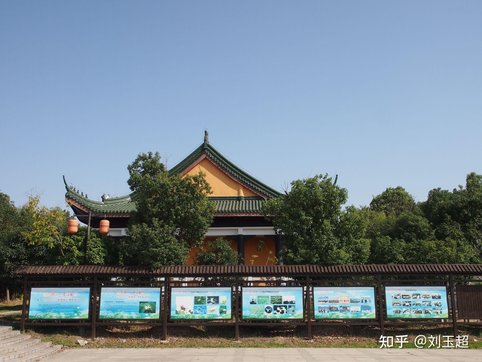 合肥市肥东县撮镇建华社区龙栖地湿地公园