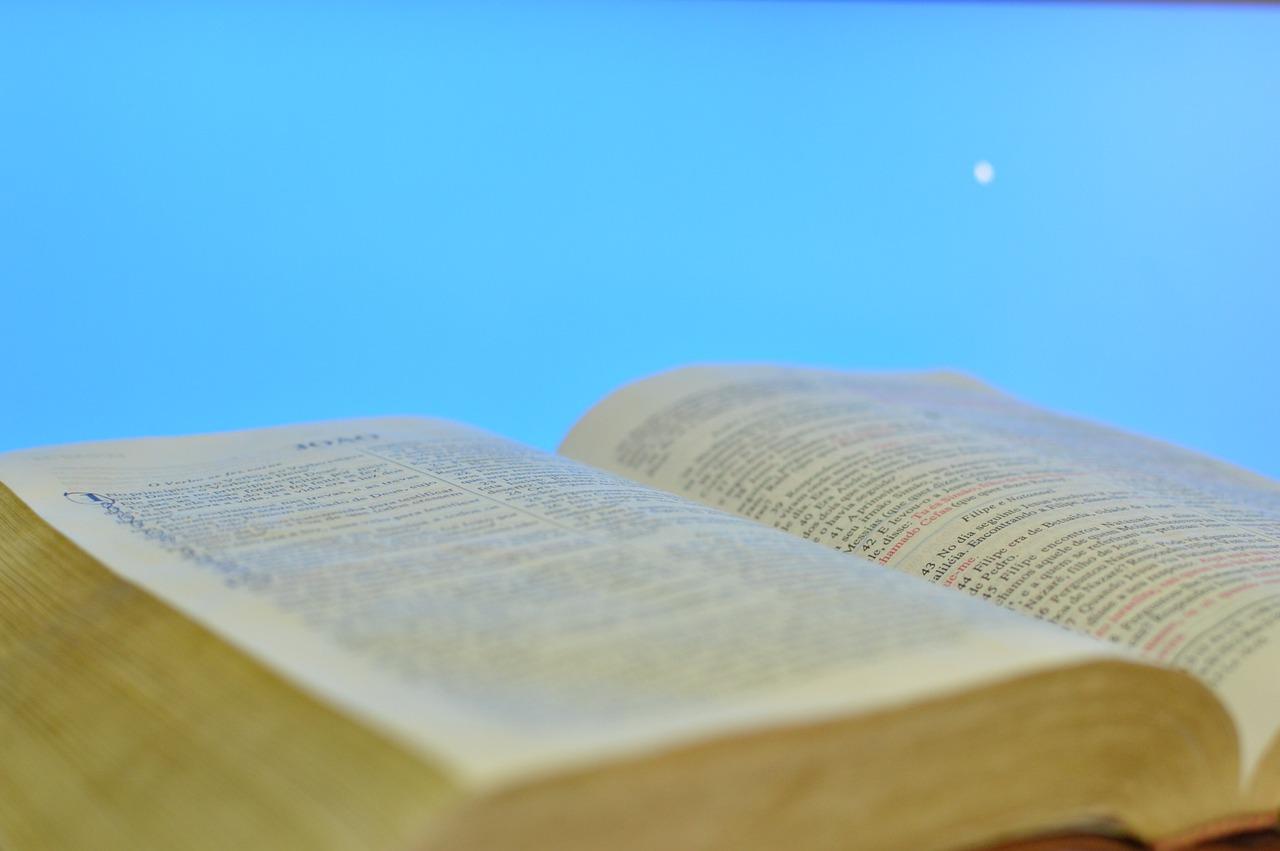 4. 课桌套市场价