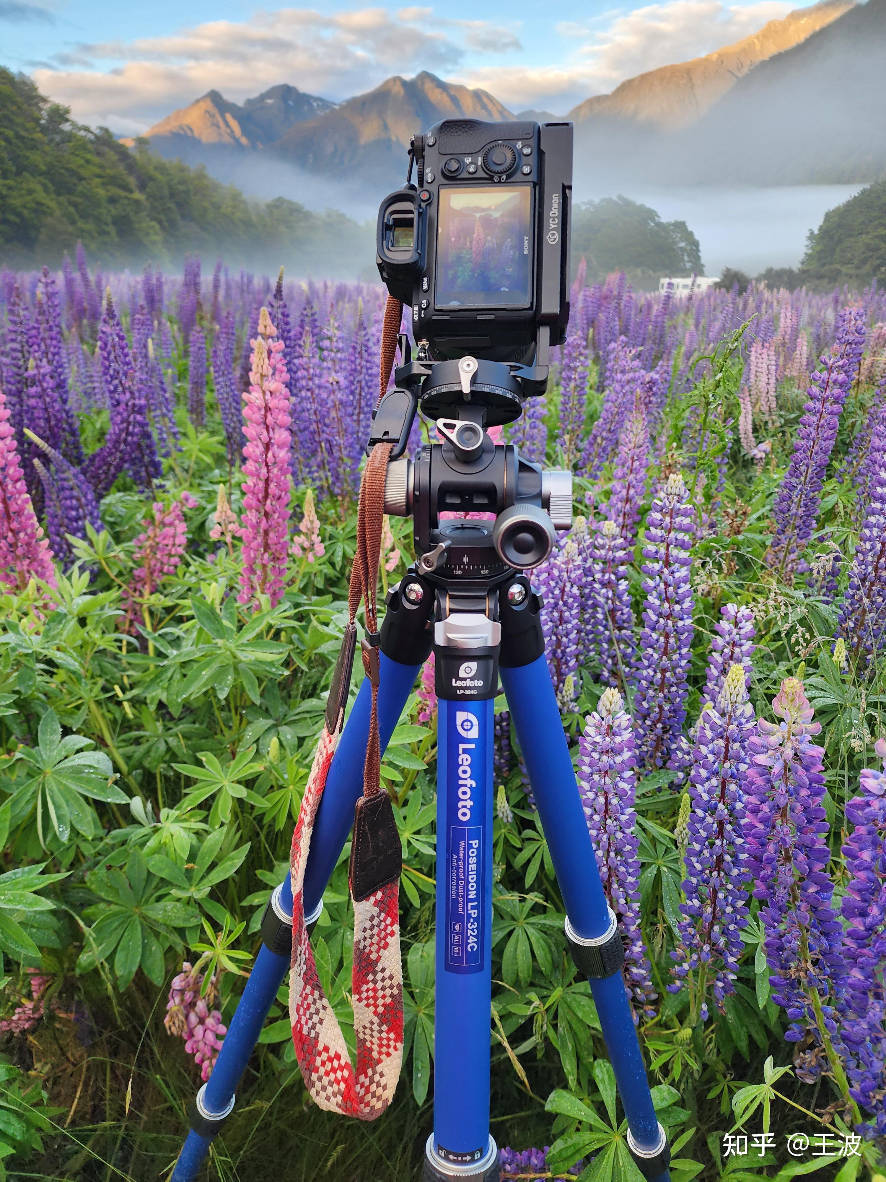 三星s23u 的 2 亿像素实力和索尼 a7r5 的 6000w 像素成像的质量差距