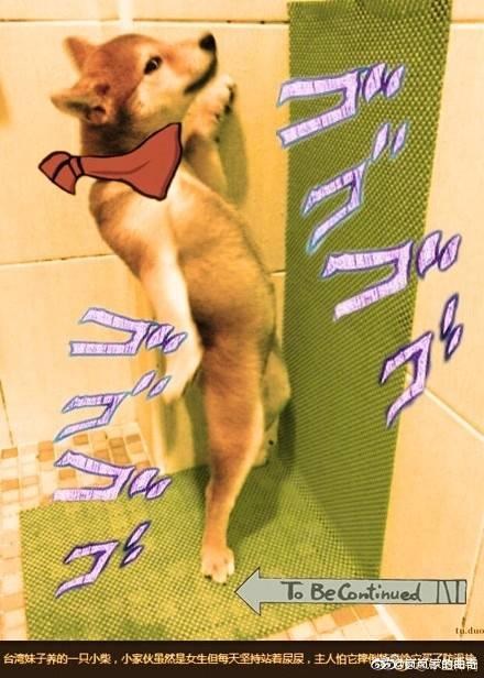 怎么看斗鱼神仙李老八去了twitch这件事? - 知乎