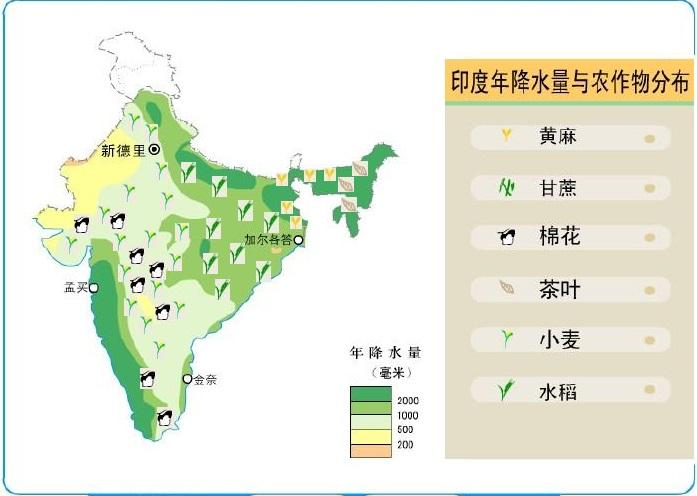 印度的农作物分布图图片