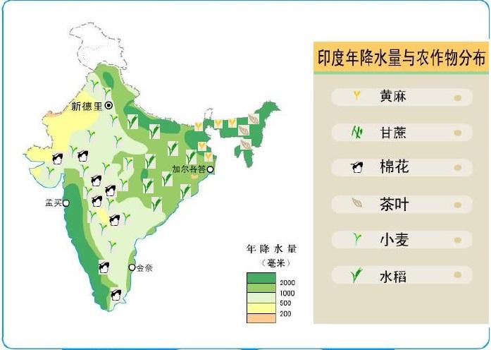 印度地处热带地区为什么会大面积种植温带粮食作物小麦