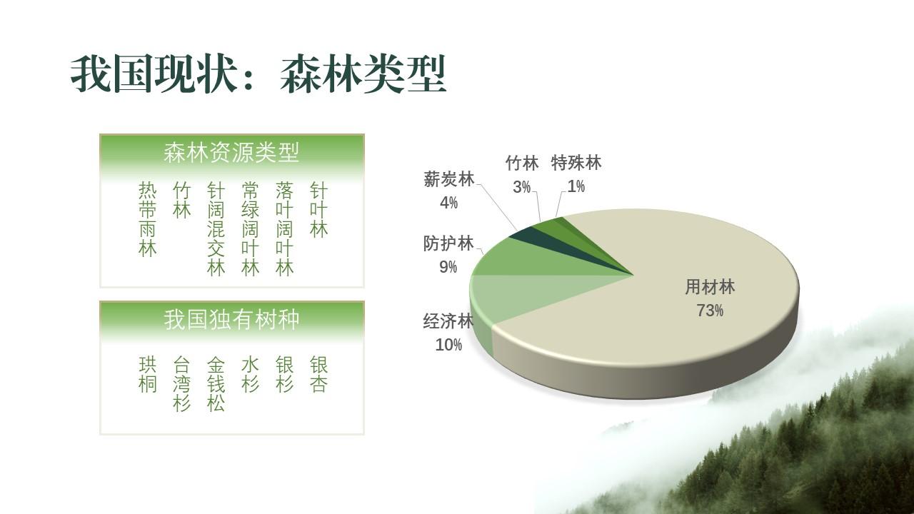 果因ppt案例 | 科普类 | 森林资源调查报告