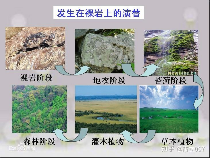 如何理解「次生演替」,演替阶段是如何发展的? - 知乎
