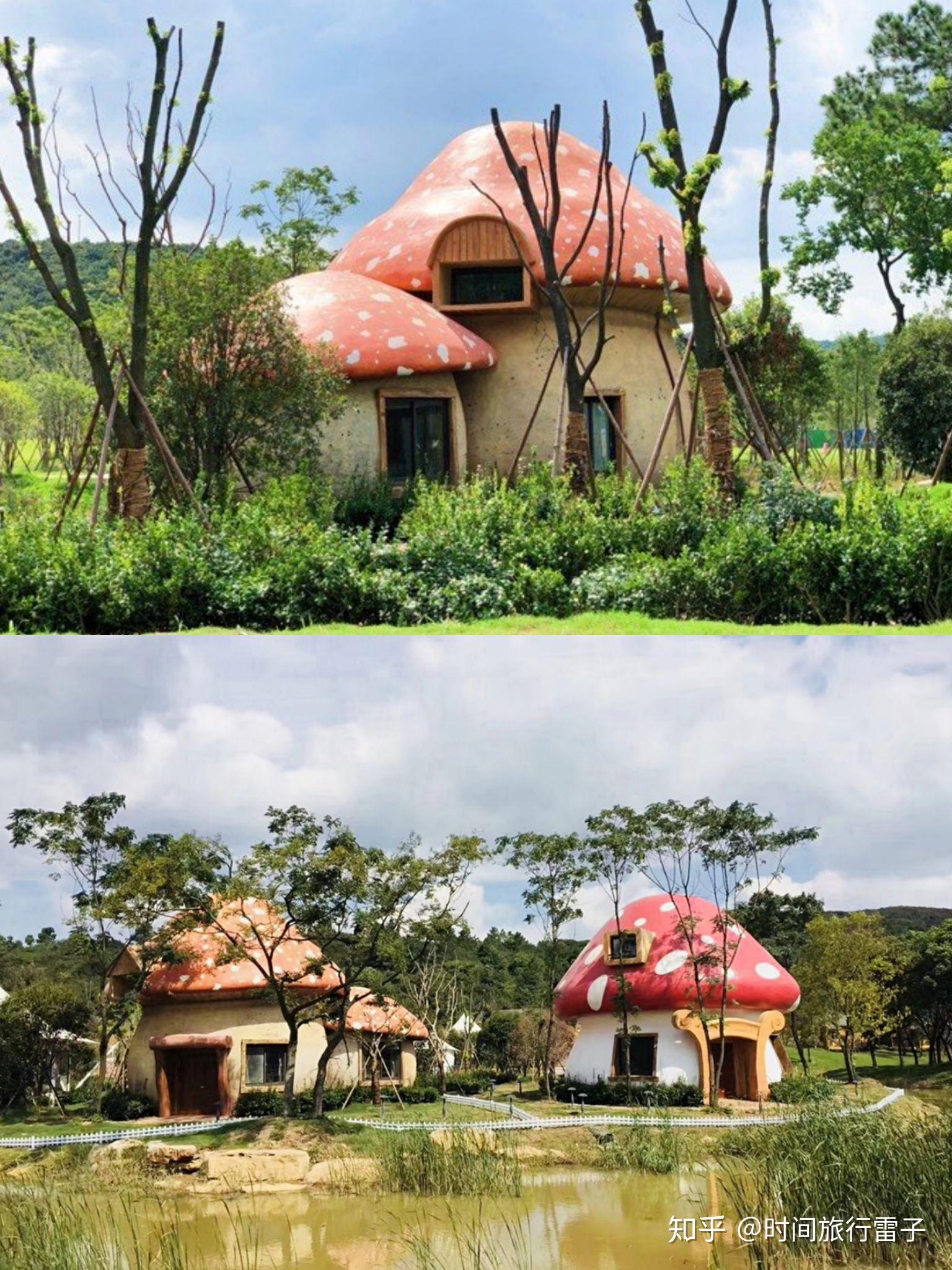 太湖湾露营谷|五一亲子游必住的童话蘑菇屋