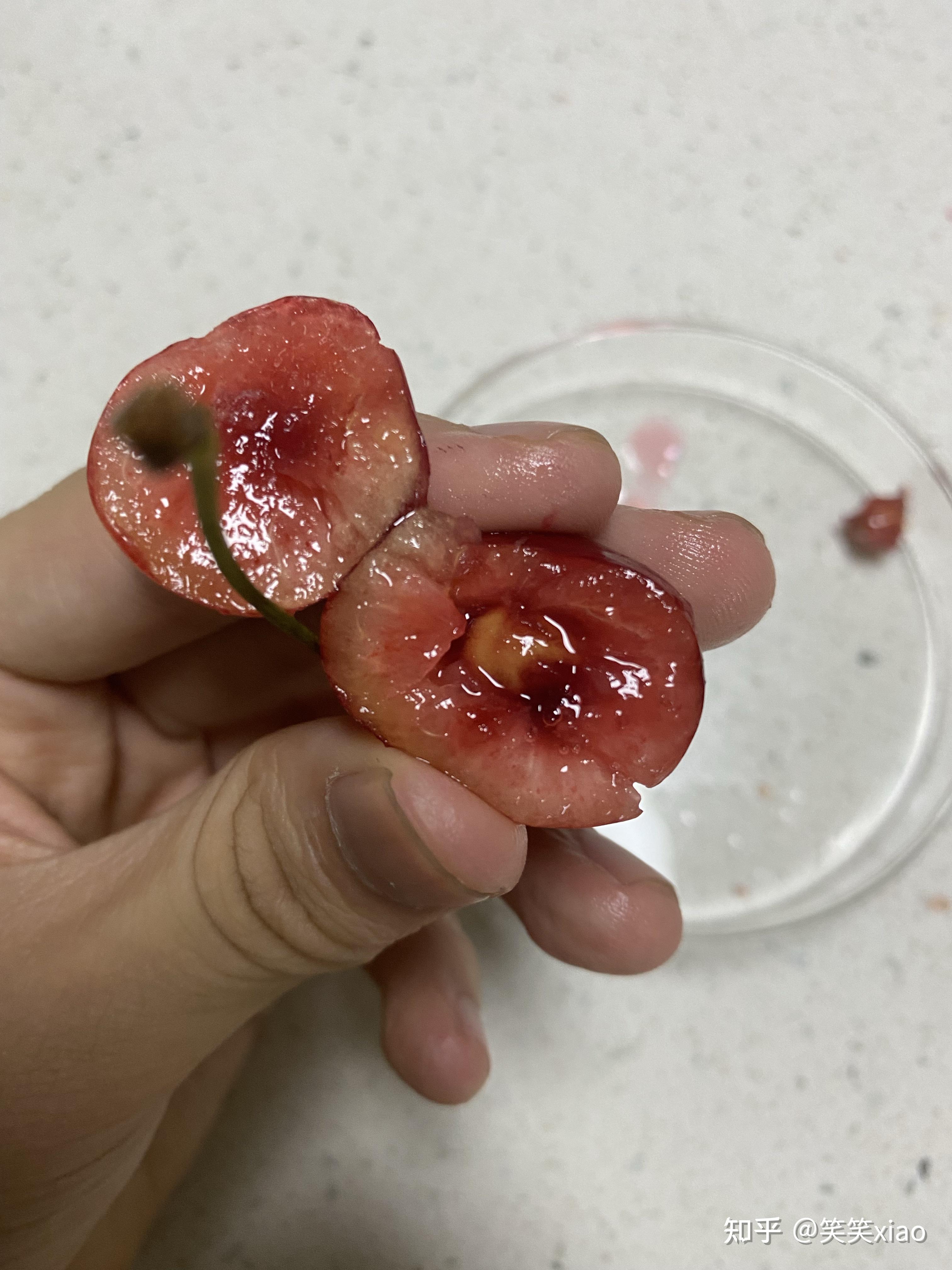 怎样将樱桃核完整取出并将其移植到另一樱桃中?